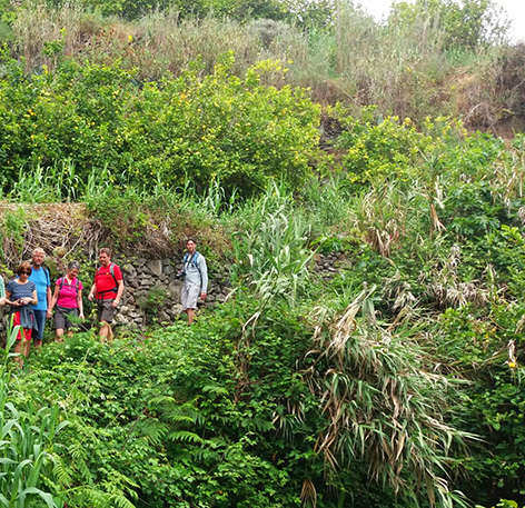 hiking gran canaria roque nublo manfred ritsch hikingworld