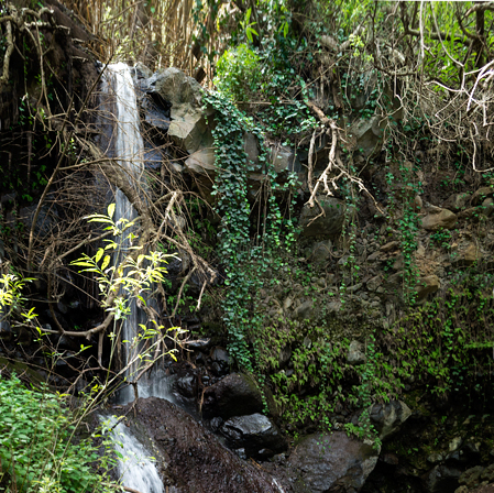 gran canaria activities hiking trekking manfred ritsch hikingworld 