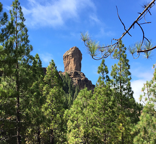 Hiking walking gran canaria Manfred Ritsch 