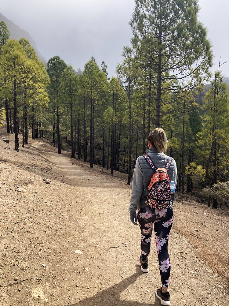 guided hiking on gran canaria 