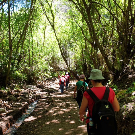 Wandern auf gran canaria