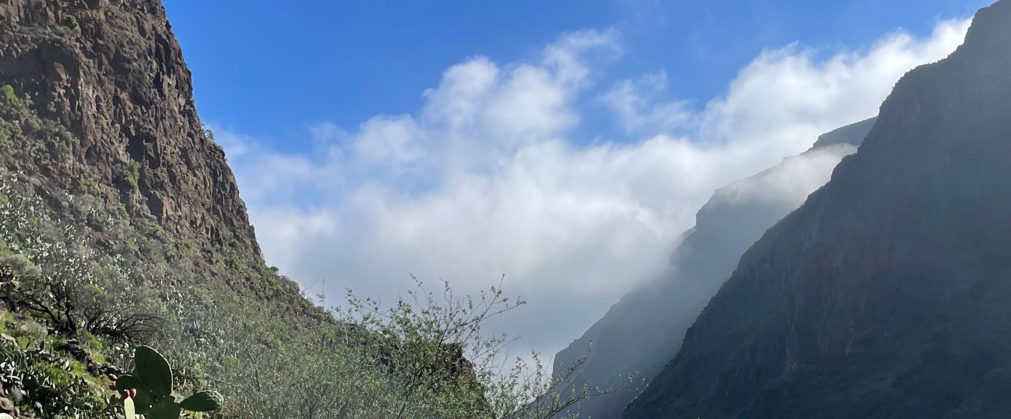 guided hiking tour on gran canaria to almond flower