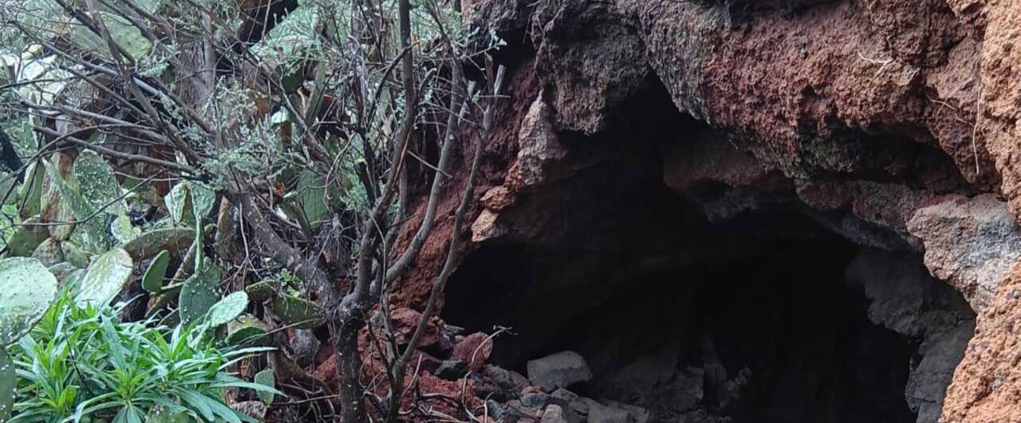 Almond blossom guayadeque hiking trip