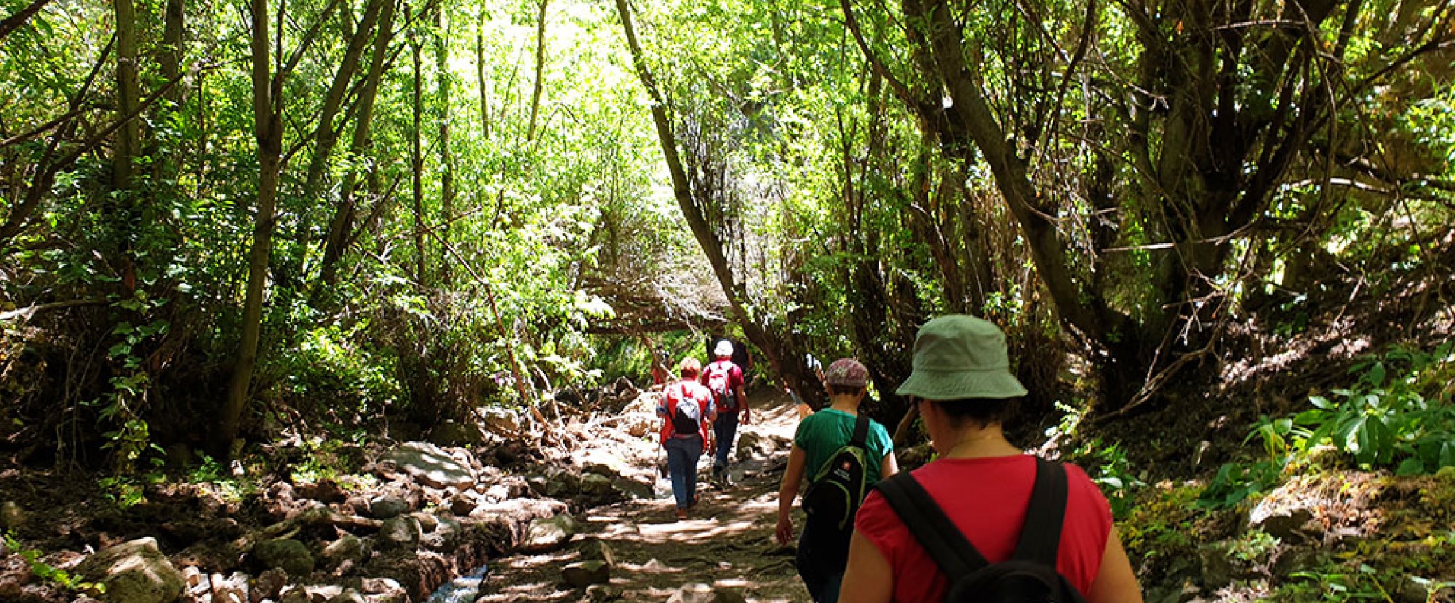 hiking on gran canaria to the kestrel canyon