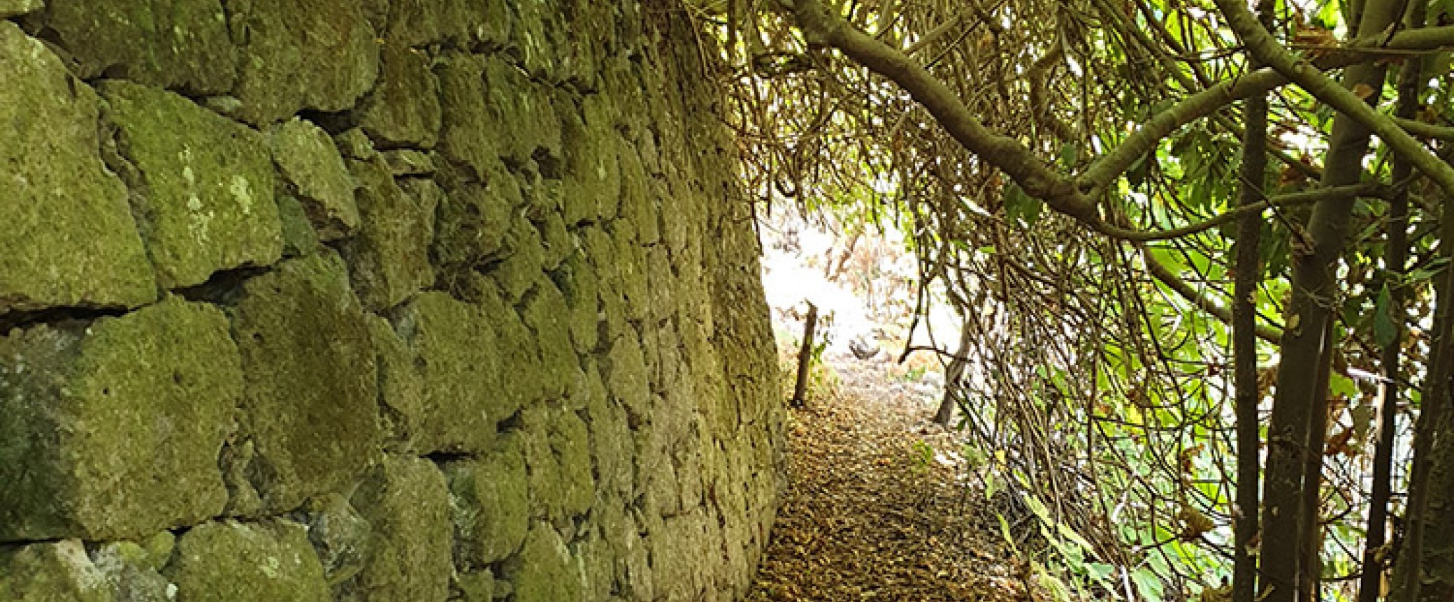 hiking gran canaria guided hikes trekking walking