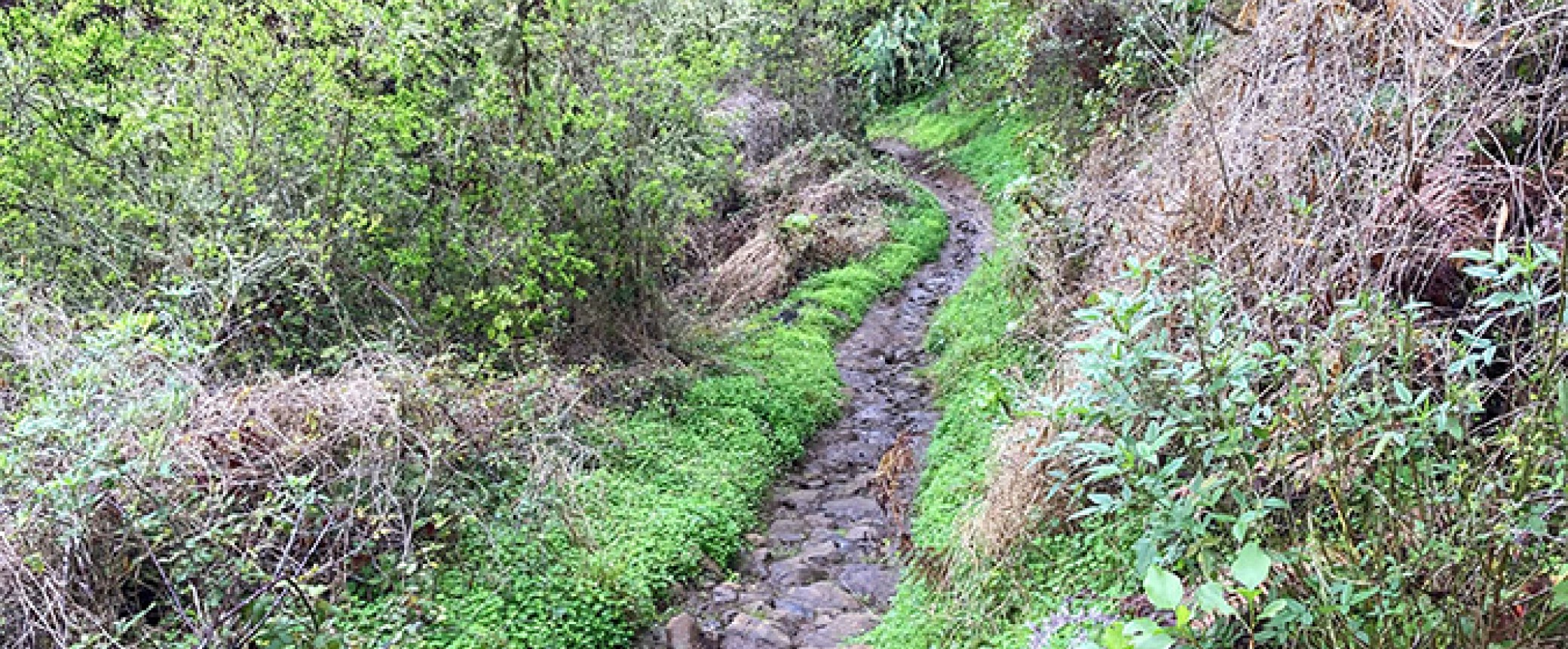 hiking gran canaria guided hikes trekking walking