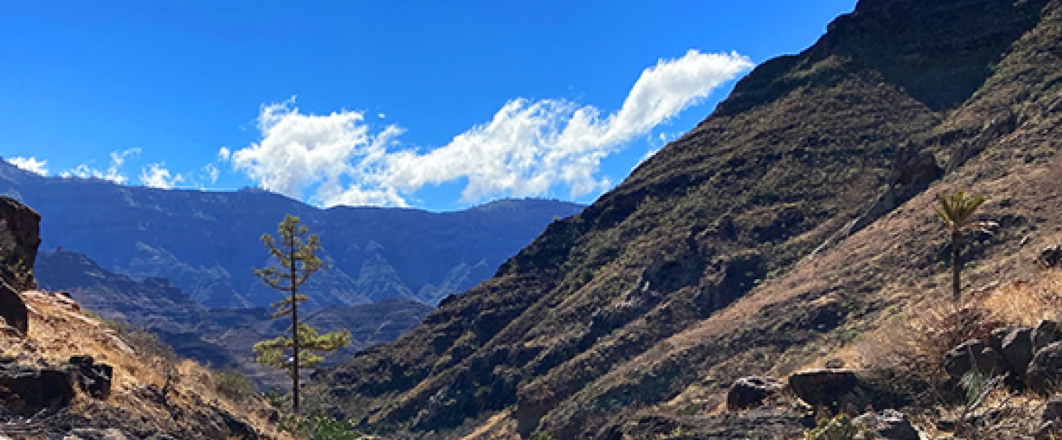 hiking, trekking and walking on gran canaria to the most beautiful places