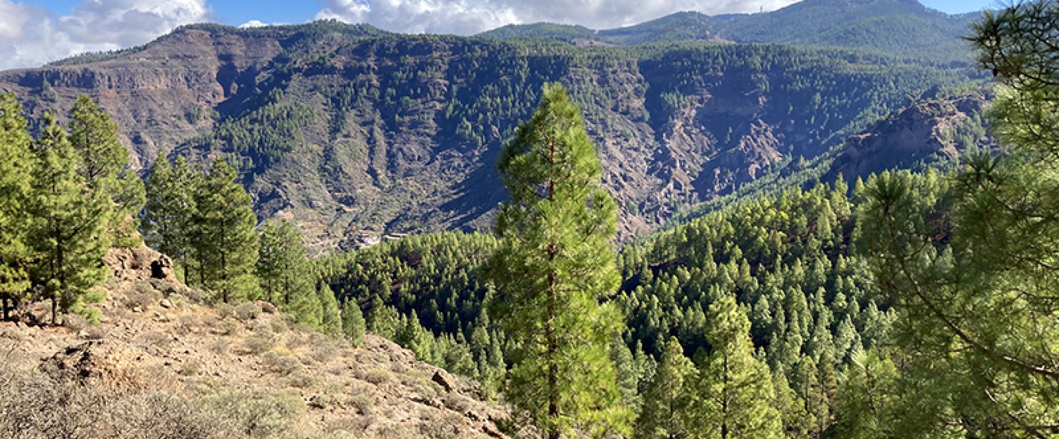 hiking gran canaria guided hikes trekking walking