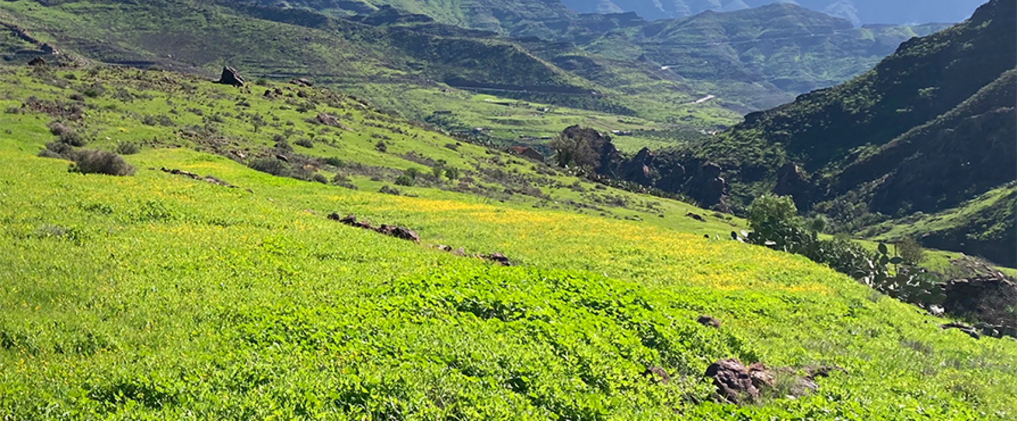 hiking, trekking and walking on gran canaria to the most beautiful places