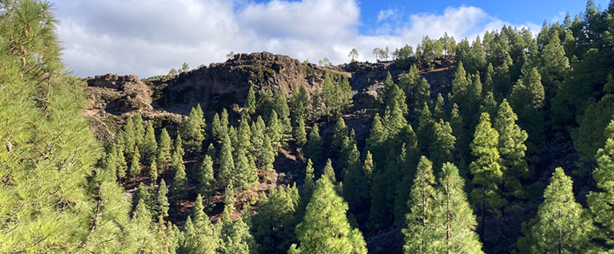 wandern auf gran canaria geführte wanderungen