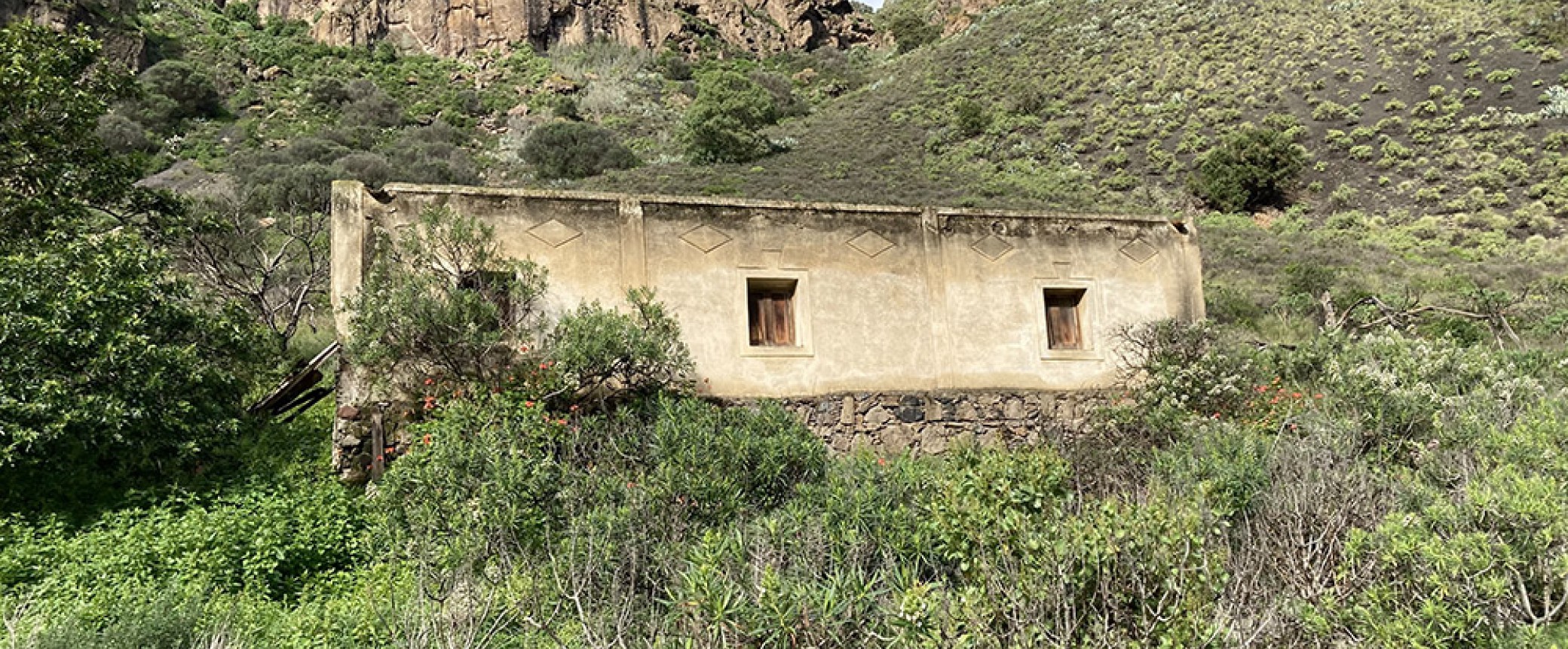 wandern auf gran canaria geführte wanderungen