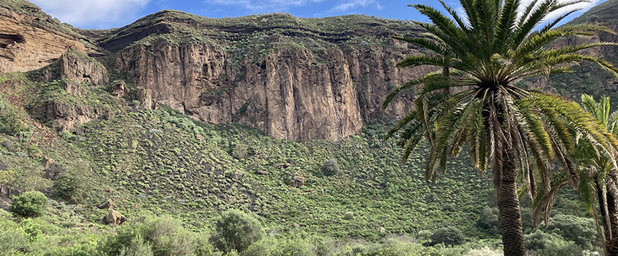 wandern auf gran canaria geführte wanderungen