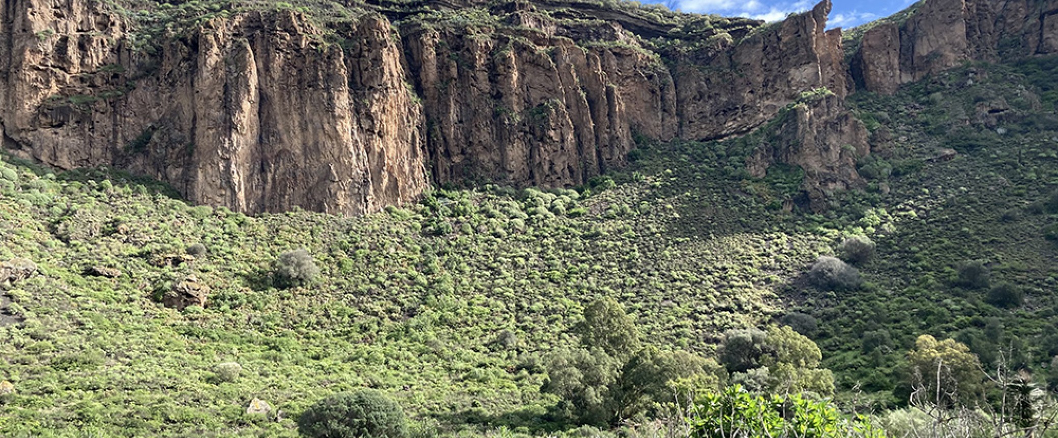 wandern auf gran canaria geführte wanderungen