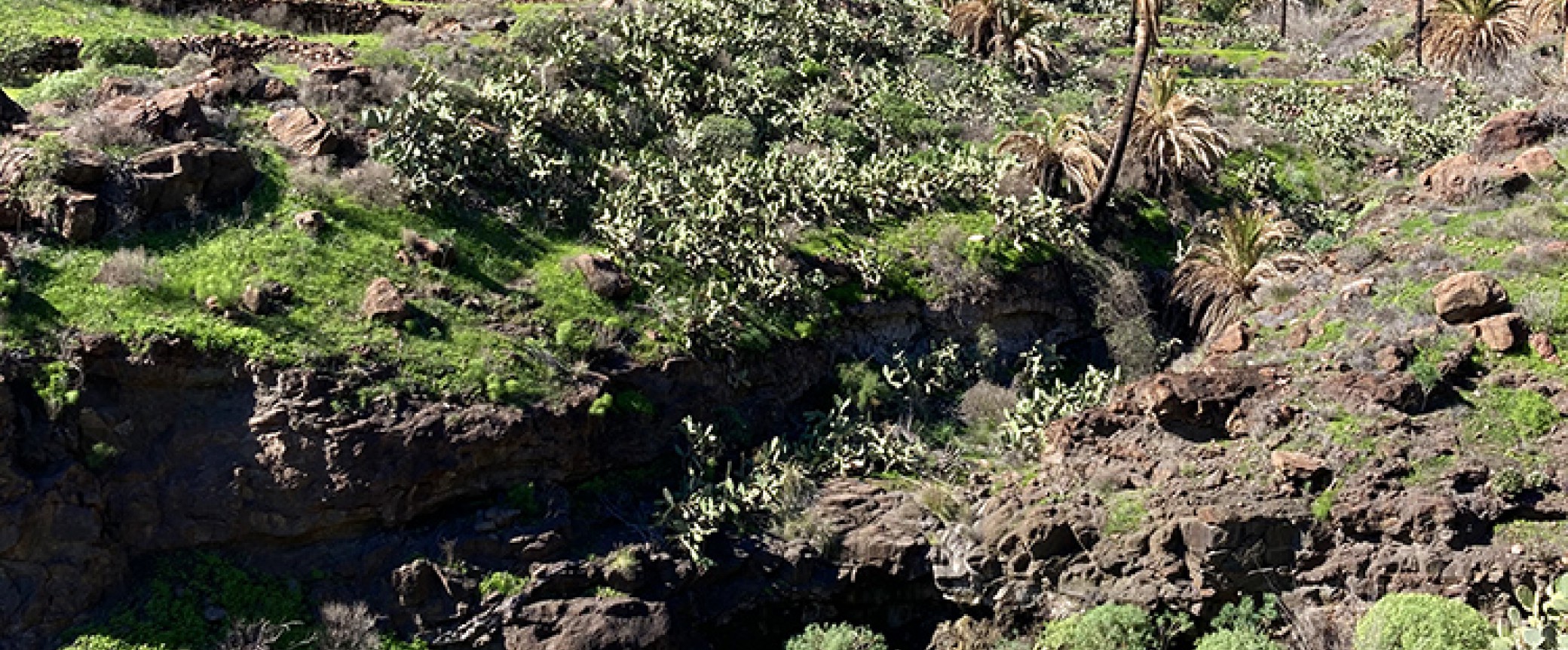 wandern gran canaria wanderung ins tal von veneguera