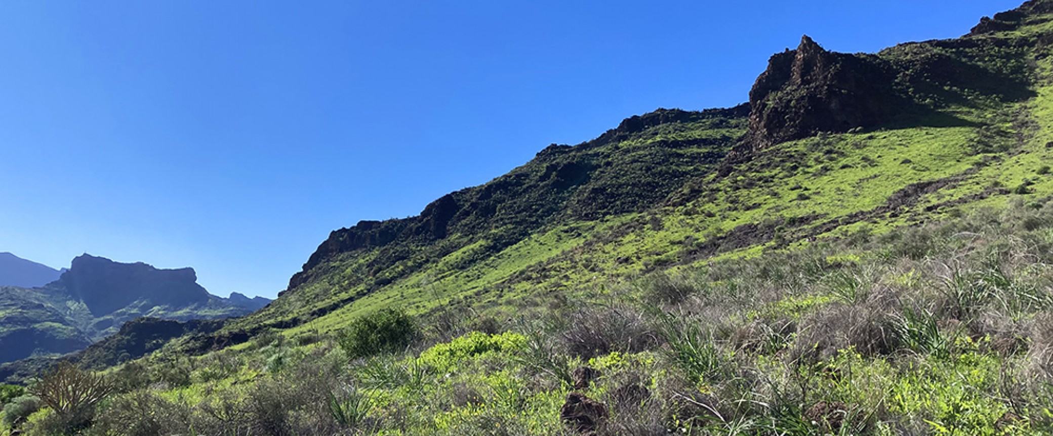 wandern gran canaria wanderung ins tal von veneguera