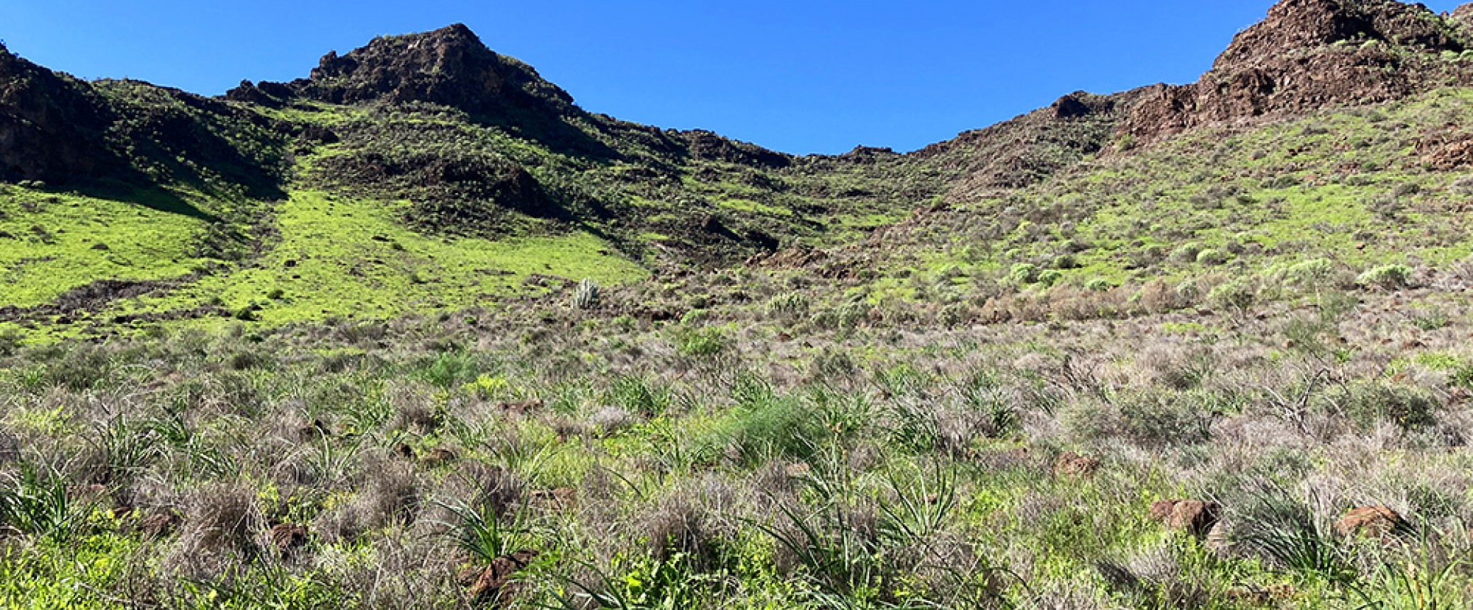 wandern gran canaria wanderung ins tal von veneguera