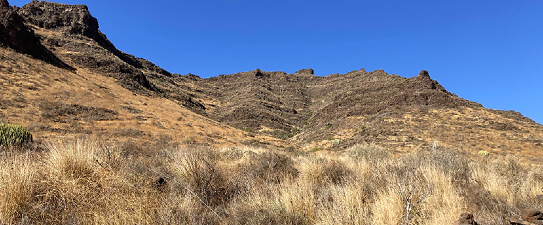 wandern gran canaria, die schönsten wanderungen auf der insel, der Lorbeerwald auf Gran Canaria