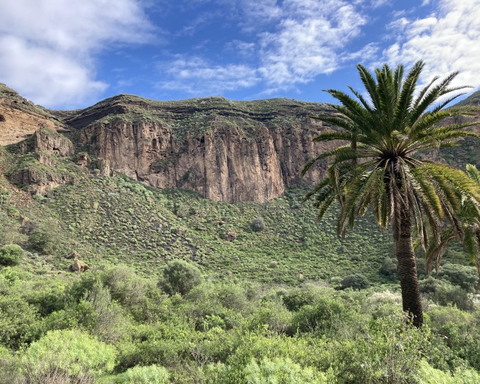 wandern auf gran canaria durch den Bandana Krater