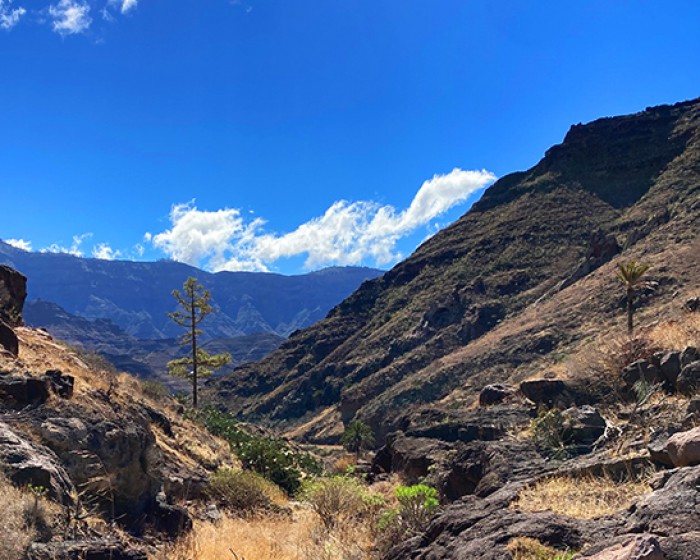 Das Tal von Veneguera, wandern gran canaria, die schönsten wanderungen auf der insel