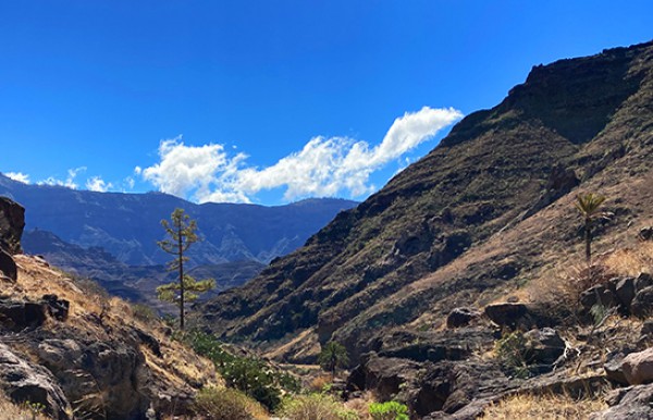 hiking, trekking and walking on gran canaria to the most beautiful places