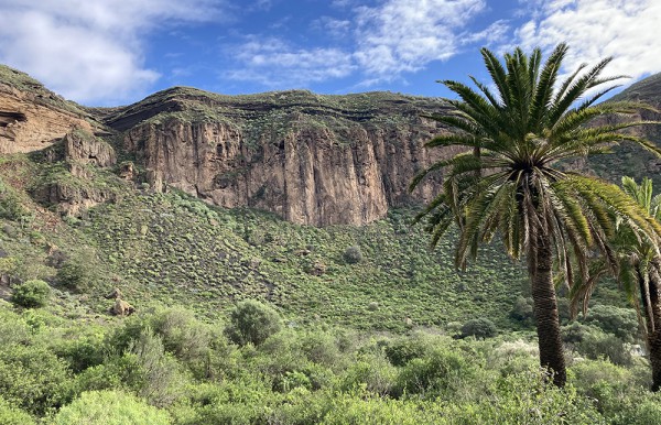 wandern auf gran canaria geführte wanderungen